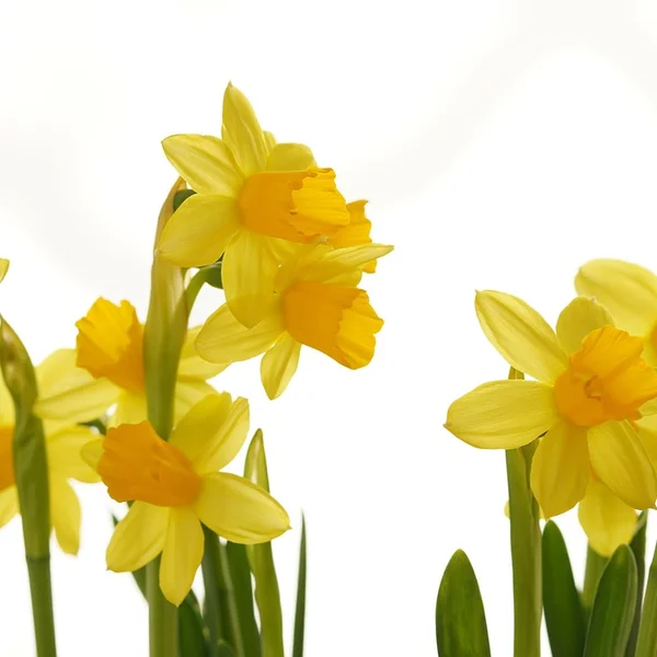 好博体育捕鱼游戏